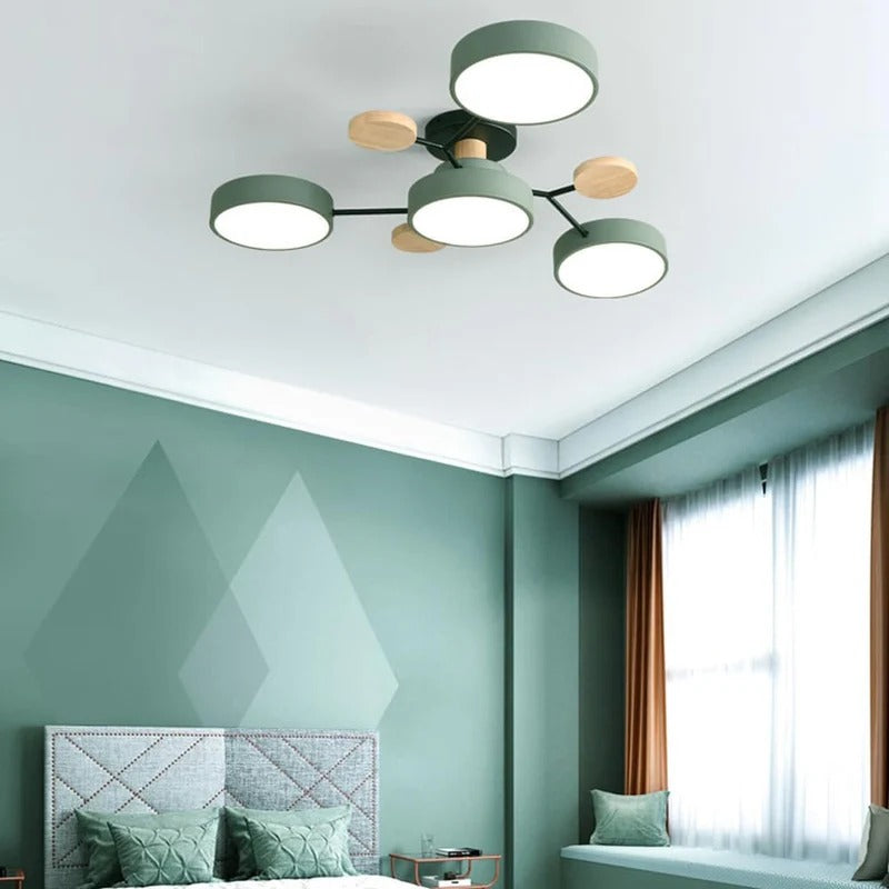 Flush Mount Ceiling Light Modern LED Room Illumination