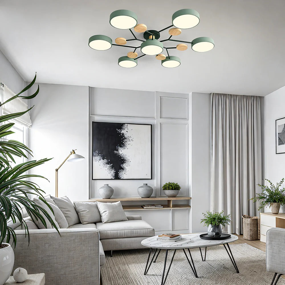 Flush Mount Ceiling Light Modern LED Room Illumination