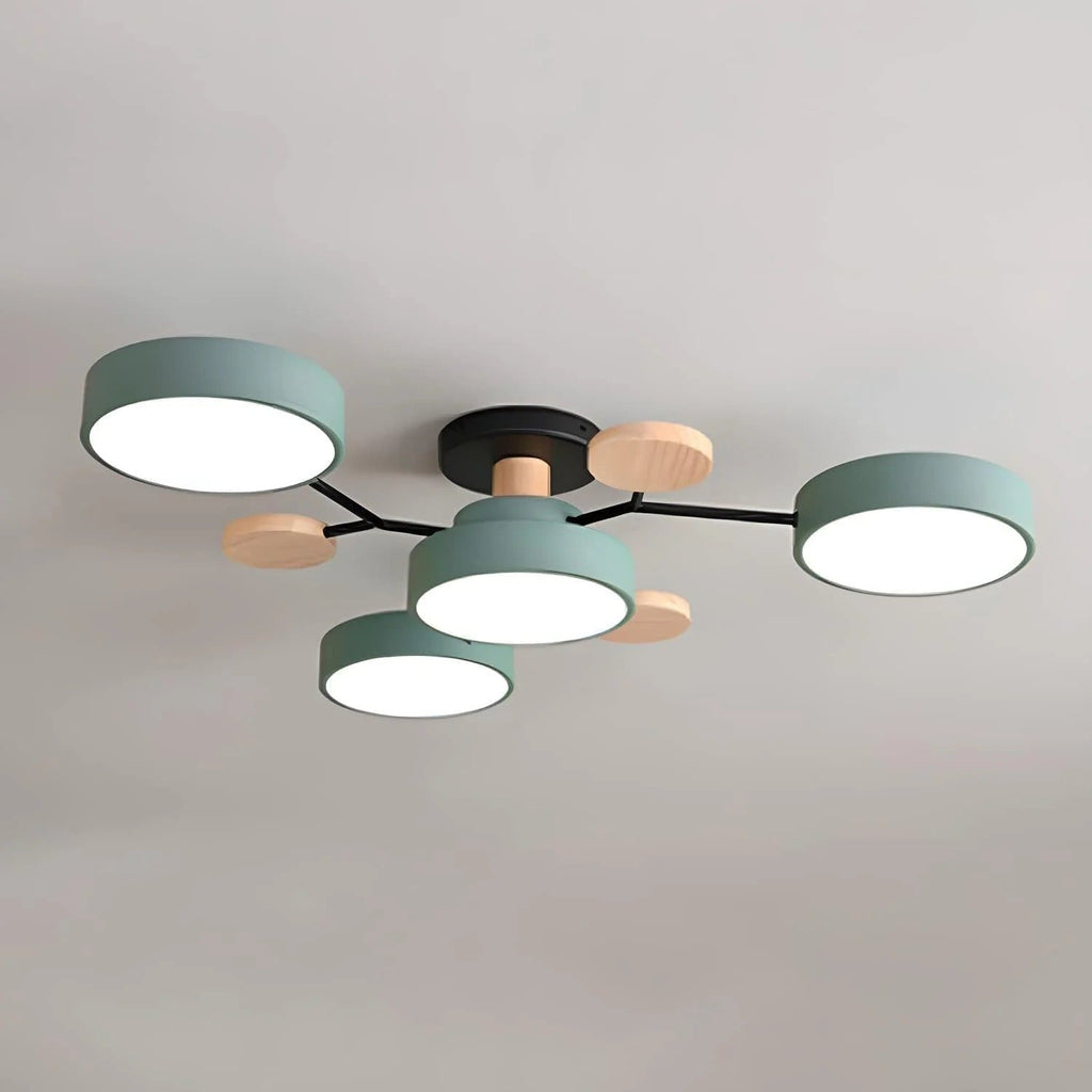 Flush Mount Ceiling Light Modern LED Room Illumination